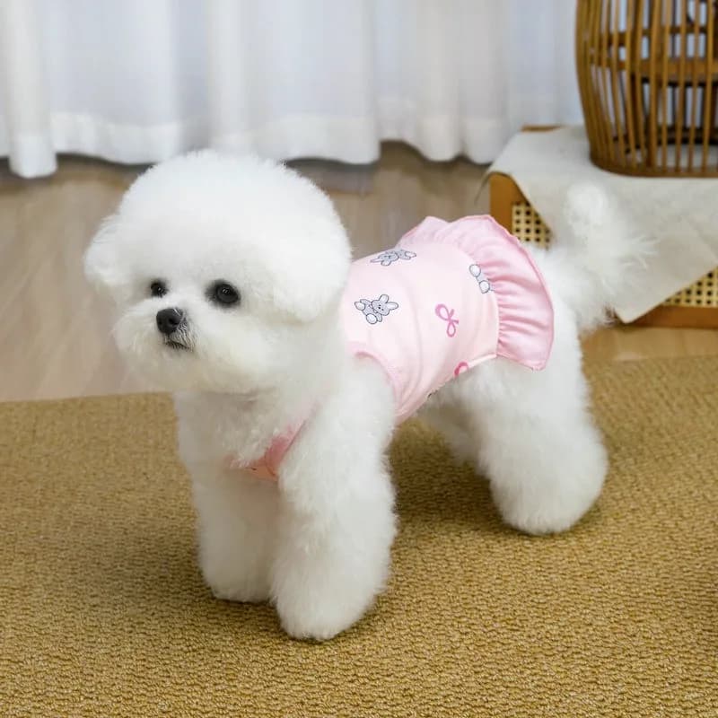 Vestito con stampa coniglietto per animali domestici, nuovo arrivo primavera/estate, gonne carine per cuccioli, gilet alla moda per Teddy