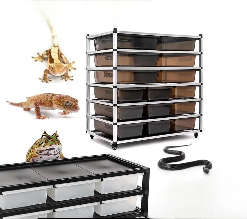 Accetta dimensioni personalizzate Gabbie per animali domestici Trasportini Gabbia per serpenti di grandi dimensioni Custodie per rettili Gabbie per armadietti Scaffale per rettili Allevamento di animali domestici