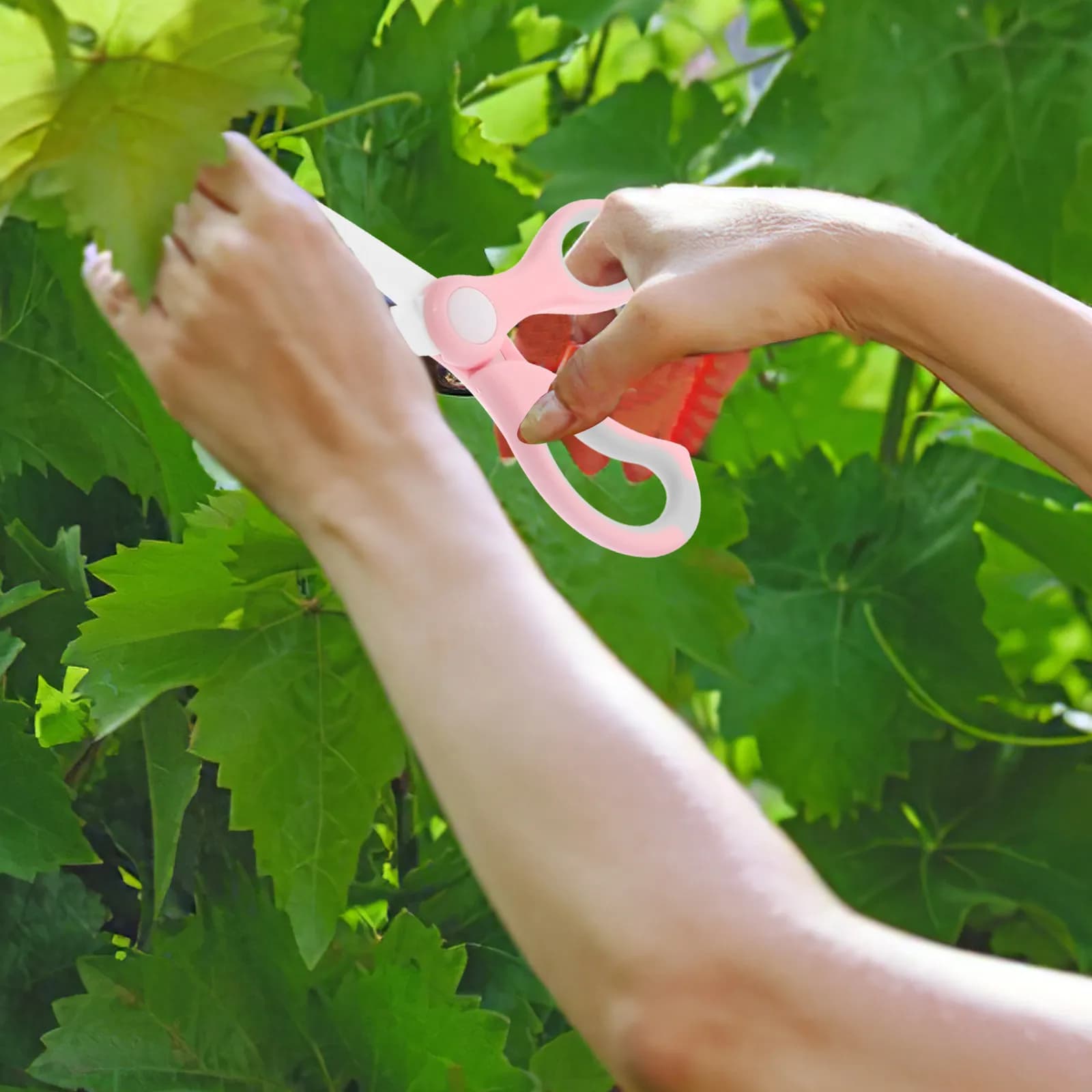Set di Forbici da Giardinaggio con Impugnatura Ergonomica, Cesoie in Ceramica Portatili per Potatura Rami e Composizioni Floreali