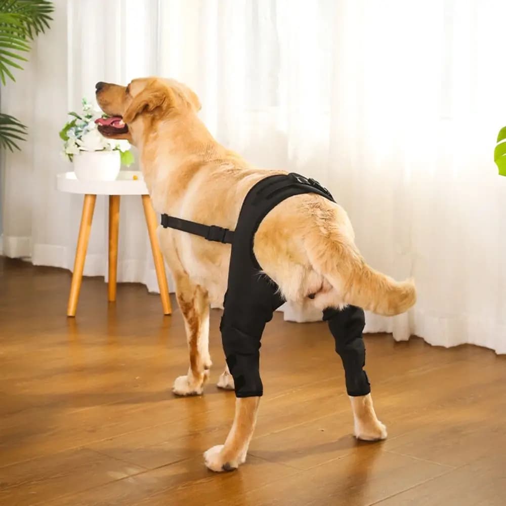 Supporto per Zampe di Cani, Protezione per Ginocchio e Anca, Prevenzione Ferite e Lesioni, Ausilio Canino e Riabilitazione dei Legamenti, Accessori per Animali Domestici