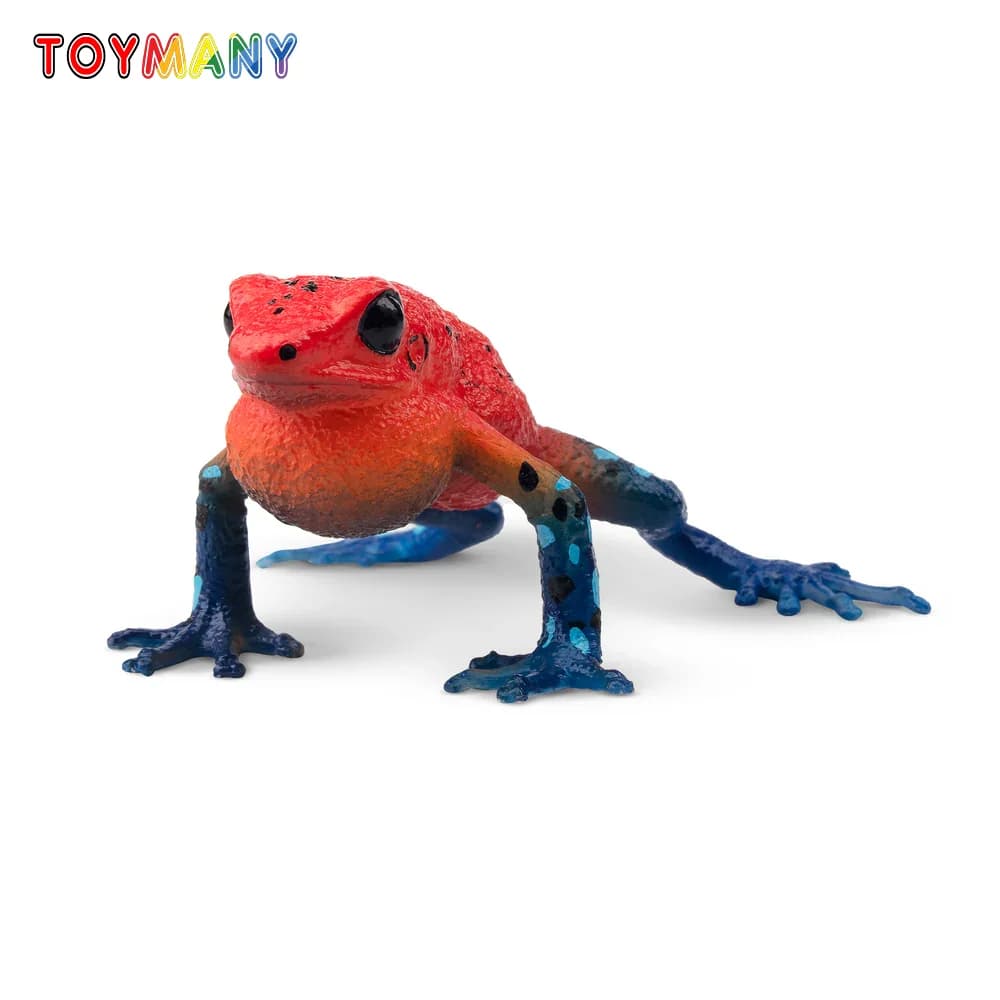 Toymany Simulazione Fragola Rana Rettile Regno Modello Animale Giocattolo Mini Figure Bambole Action Figurine Giocattoli Per Bambini