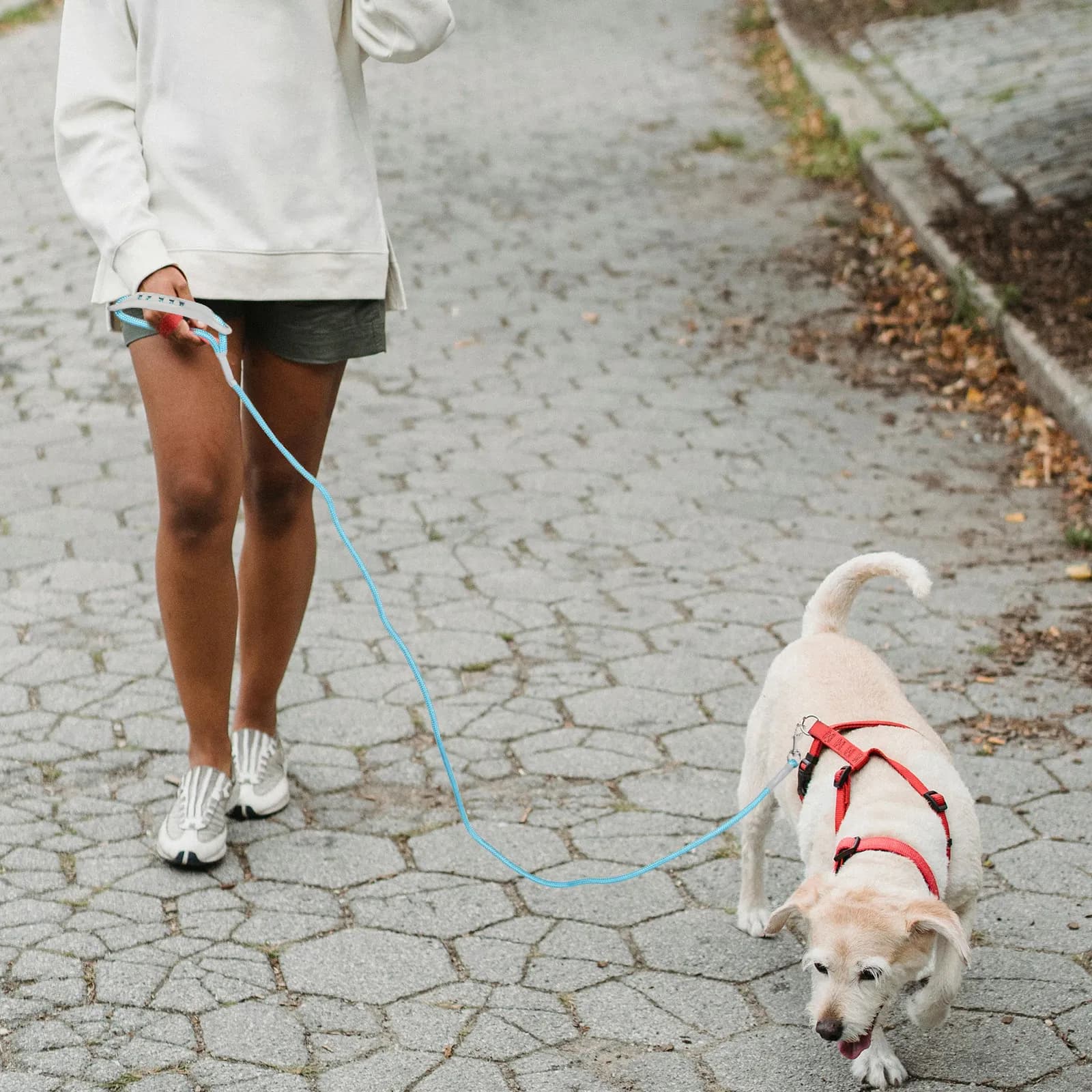 Harness With Adjustable Chest Strap Breathable Pet Traction Rope For Walking Running Training Small Dogs Outdoor Dog Leash