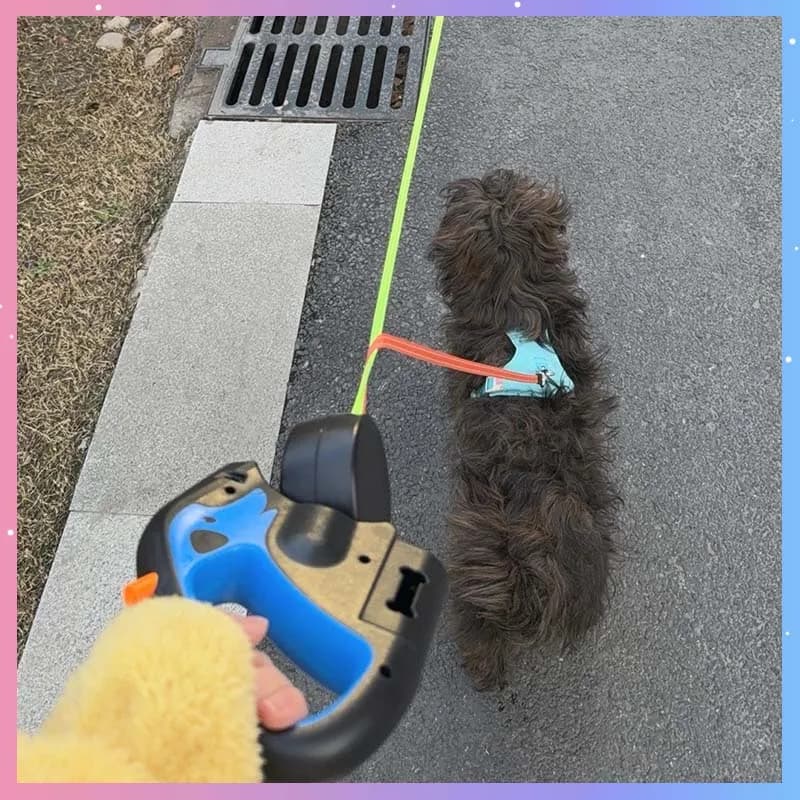 Guinzaglio Doppio Retrattile per Cani con Torcia LED, Funzionamento con Una Mano per Passeggiate all'Aperto, Guinzaglio Automatico per Cani Piccoli e Medi