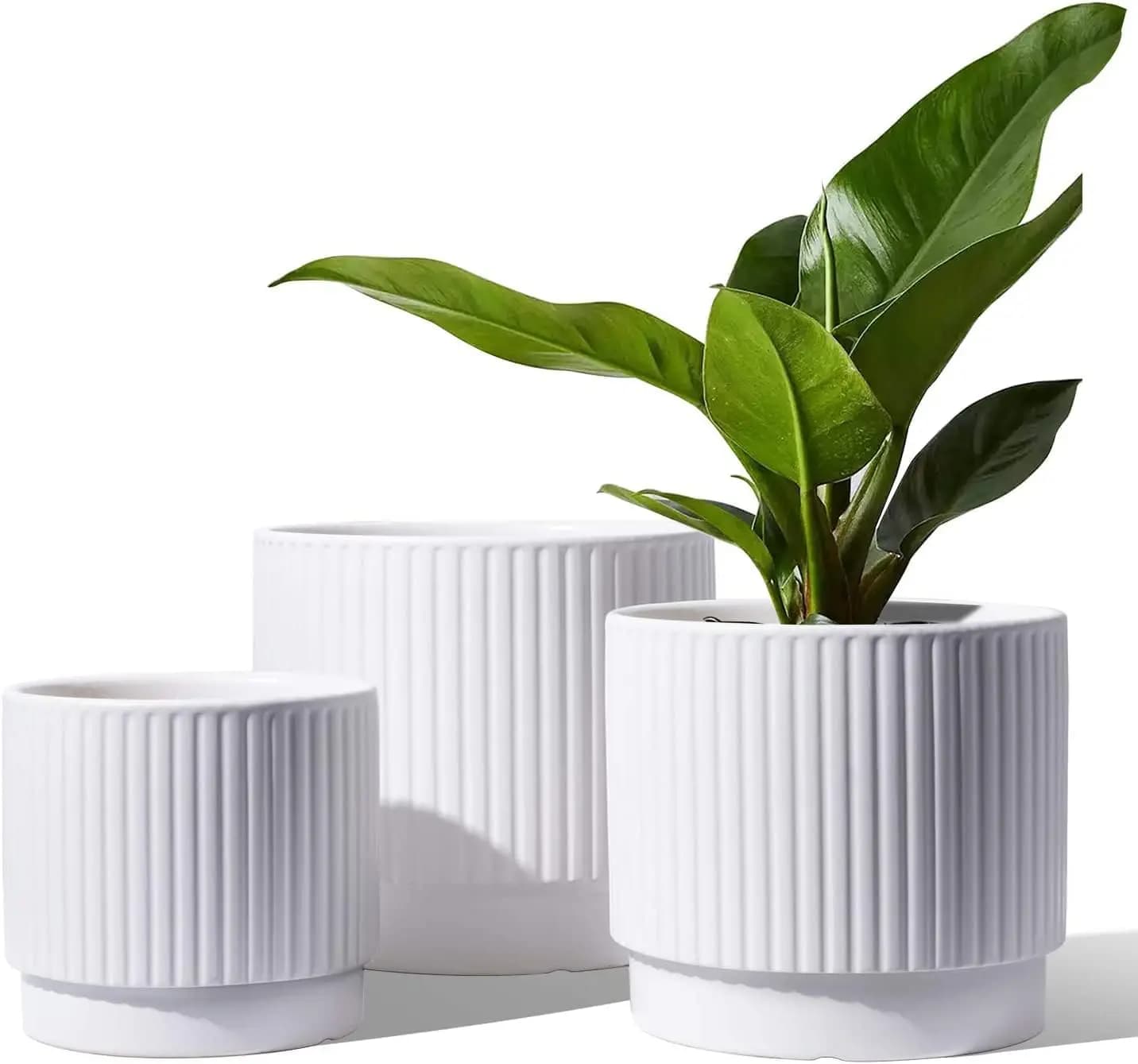 Vasi in Ceramica per Piante, Set 8+6.7+5.5 Pollici, Vasi da Interno con Fori di Drenaggio, Fioriere Cilindriche Medie per Interni