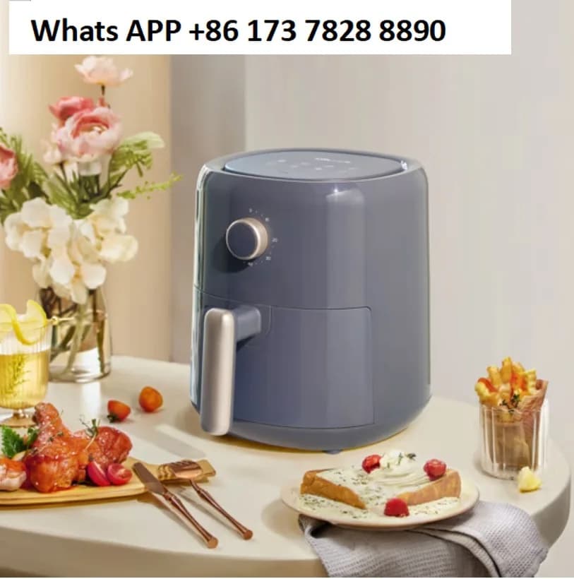 Friggitrice ad aria QZG-N10W2 microcomputer automatico domestico touch friggitrice elettrica micro vapore 3L