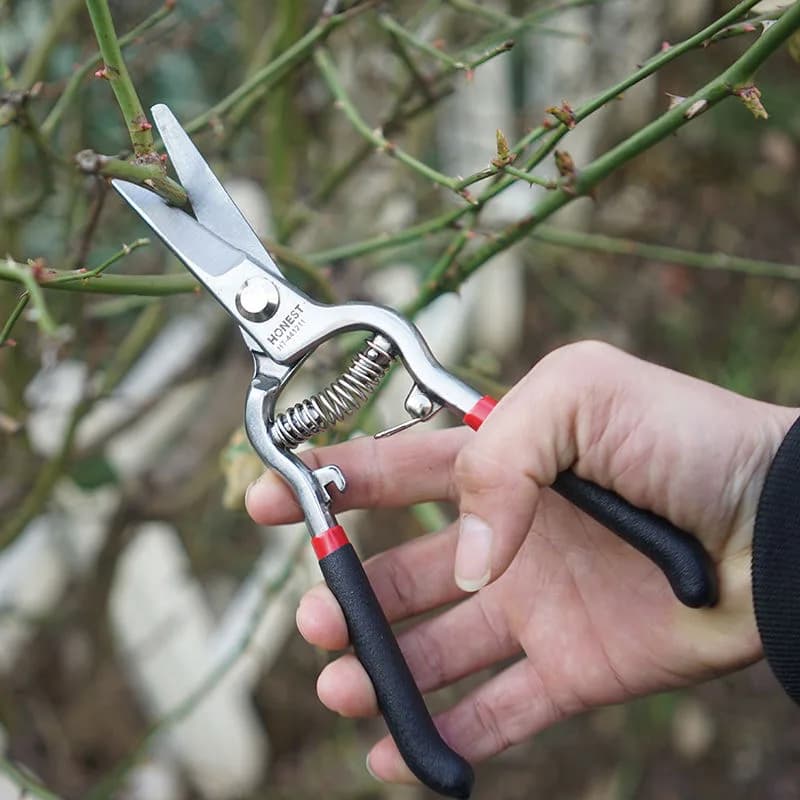 Garden Tools Secateurs Garden Pruner Shears High carbon steel Blade Pruning Scissors for Bonsai Fruit Trees Flowers Branches