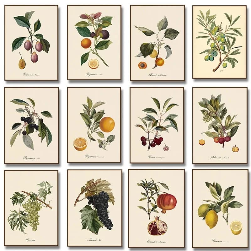 Frutta botanica vintage Limone Prugne Arancia Poster e stampe vintage Wall Art Canvas Painting Immagini murali Cucina Decorati