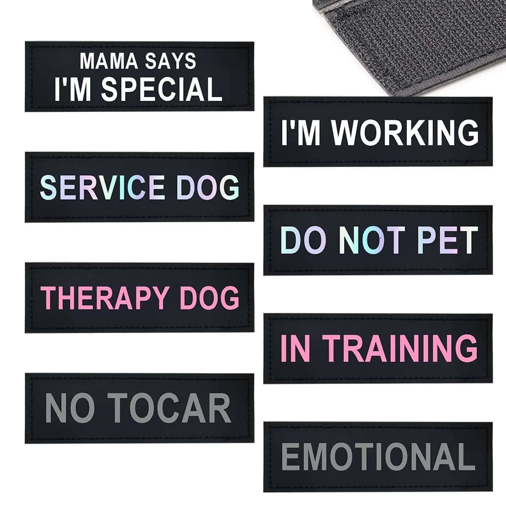 Toppe personalizzate per imbracatura per cani Etichetta adesiva colorata riflettente Nome ID Stampa nel SERVIZIO DI TRAINING CANE ASK TO PET SICUREZZA