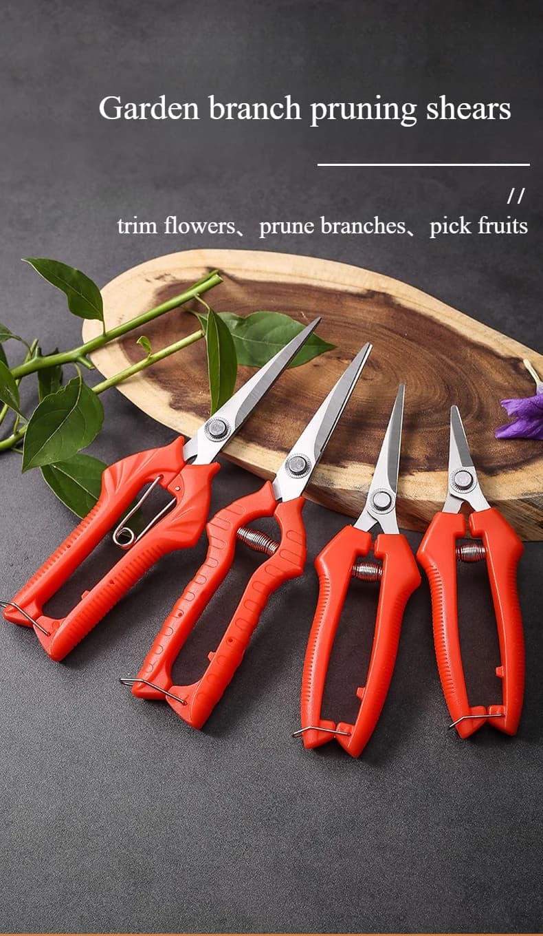 Stainless steel pruning shears Harvest for sharp branches Non-slip handle Tools for cutting garden fruit trees