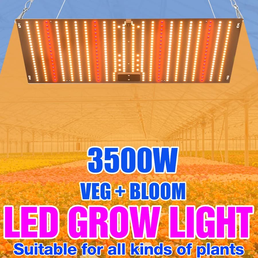 3500W Led Coltiva The Light Phyto Lamp For Plants Lampadina Spectro Completo Quantum Board Idroponica Serra Fiori Semi Growth Lamp