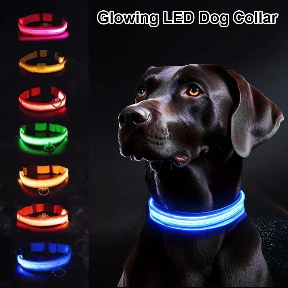 Collare per cani Nylon LED Night Safety lampeggiante Glow In The Dark guinzaglio per cani da compagnia cani da compagnia collare fluorescente luminoso accessori per cani