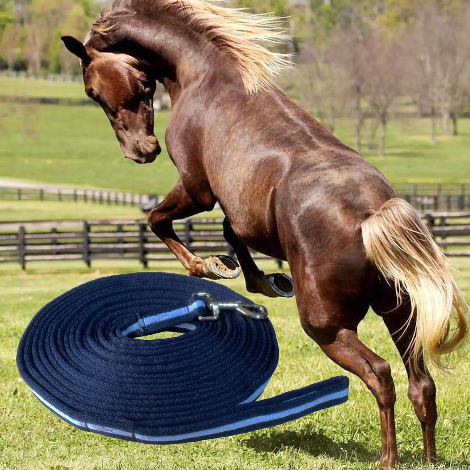 Guinzaglio da addestramento per cani da cavallo Corda per cavallo Corda da trazione resistente Lunge Leads Cavallo