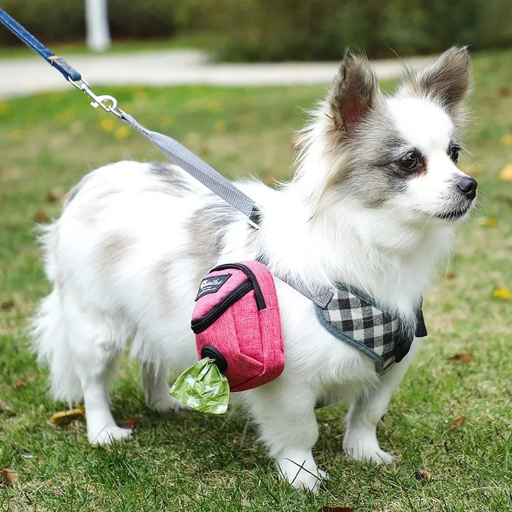 Accessori per animali domestici durevoli multifunzione portatili Borsa da addestramento per cani da viaggio all'aperto Borsa per dolcetti per cani da compagnia Dispenser per sacchetti per cacca di cani