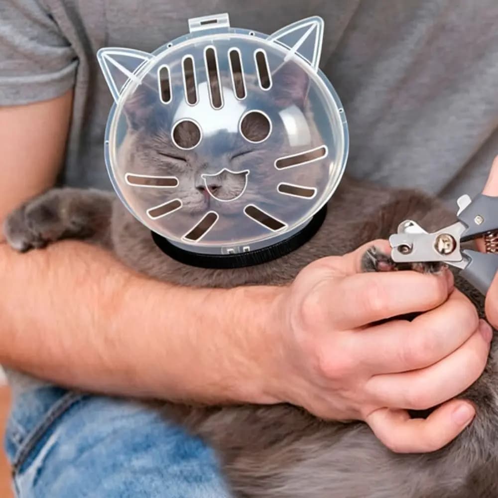 Museruola Trasparente e Traspirante per Gatti, Anti-Morso, Anti-Leccamento, Cappuccio Protettivo Anti-Graffio, Accessori per la Toelettatura dei Gatti