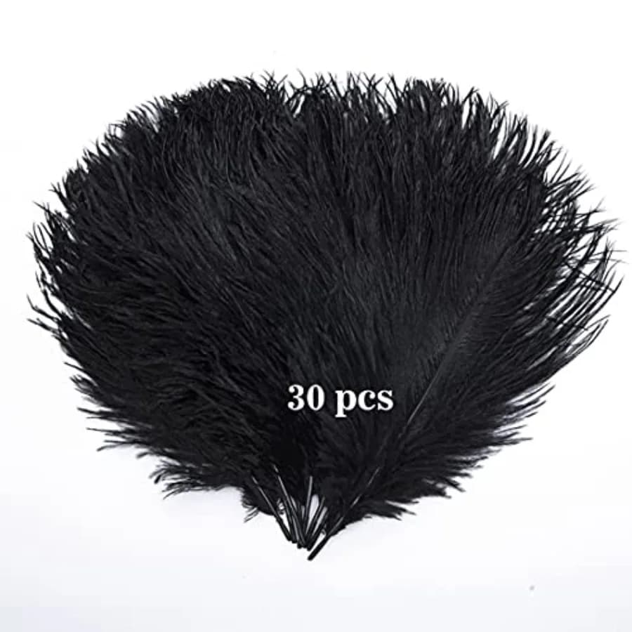 Hollosport 30PCS Bulk Black Ostrich Feathers 10-12 Inches for Centerpieces Party Wedding Home Decorations Dream Catchers Vases