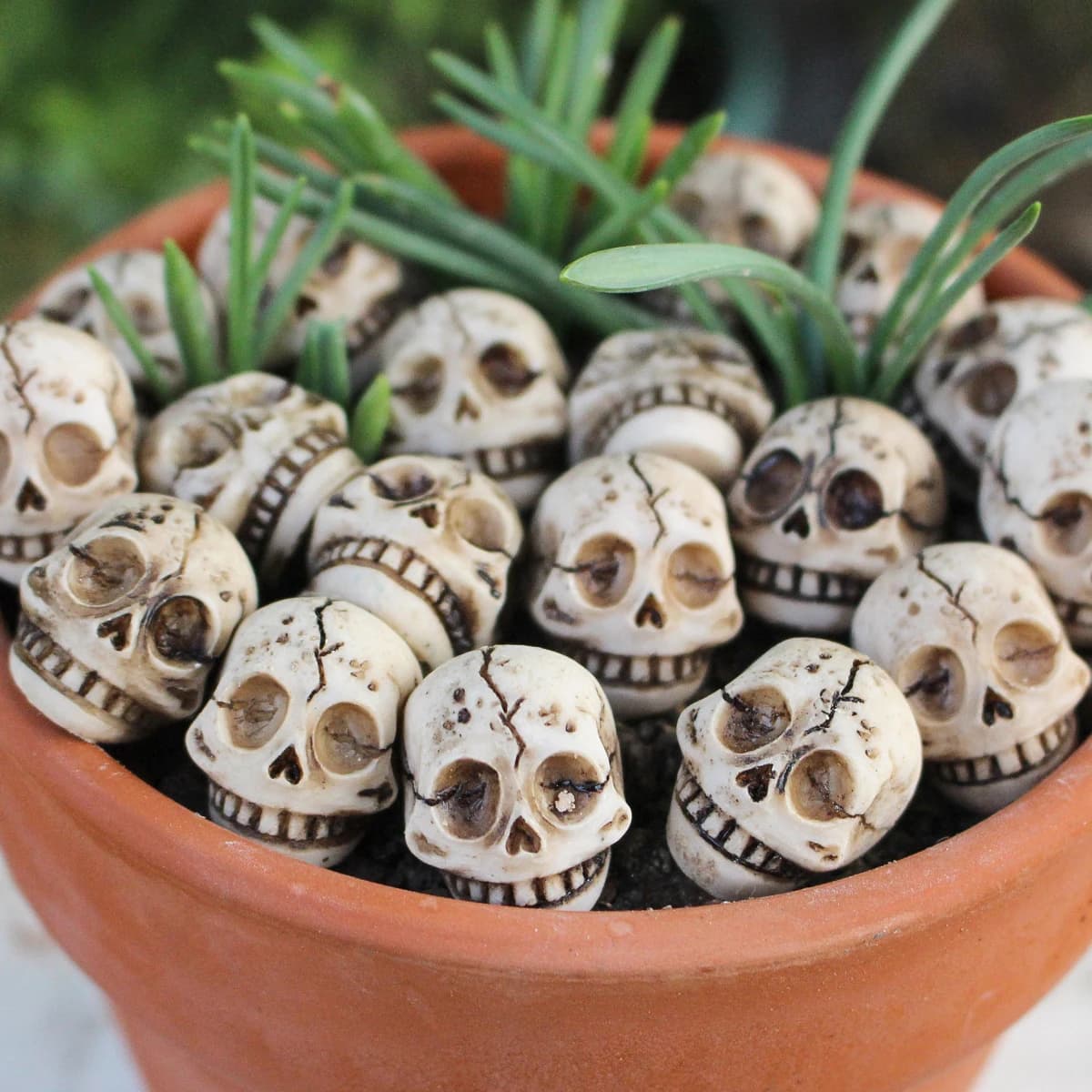 Set di 20 statue di teschi con faccia felice, decorazione per piante in vaso da giardino con teschio in resina per Halloween, statuetta di testa di fantasma in miniatura