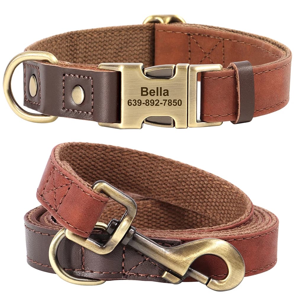 Collare e Guinzaglio Personalizzati per Cani, in Nylon Resistente e Pelle, Collari con Fibbia per Cani, Guinzaglio per Passeggio per Cani di Piccola e Media Taglia, Pitbull