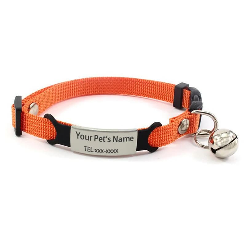 Etichetta identificativa per gattino incisa gratuita con campana - Etichetta con nome personalizzabile per collari per cani e gatti di piccola taglia, collana con fibbia in nylon regolabile