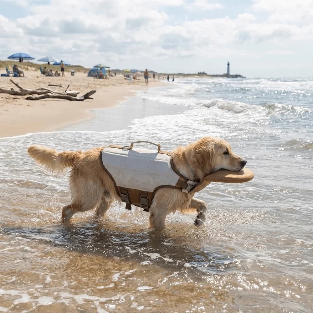 Adjustable Dog Life Jacket High Buoyancy Waterproof Dog Flotation Vest Breathable Safety Handle Dog Safety Vest Boating