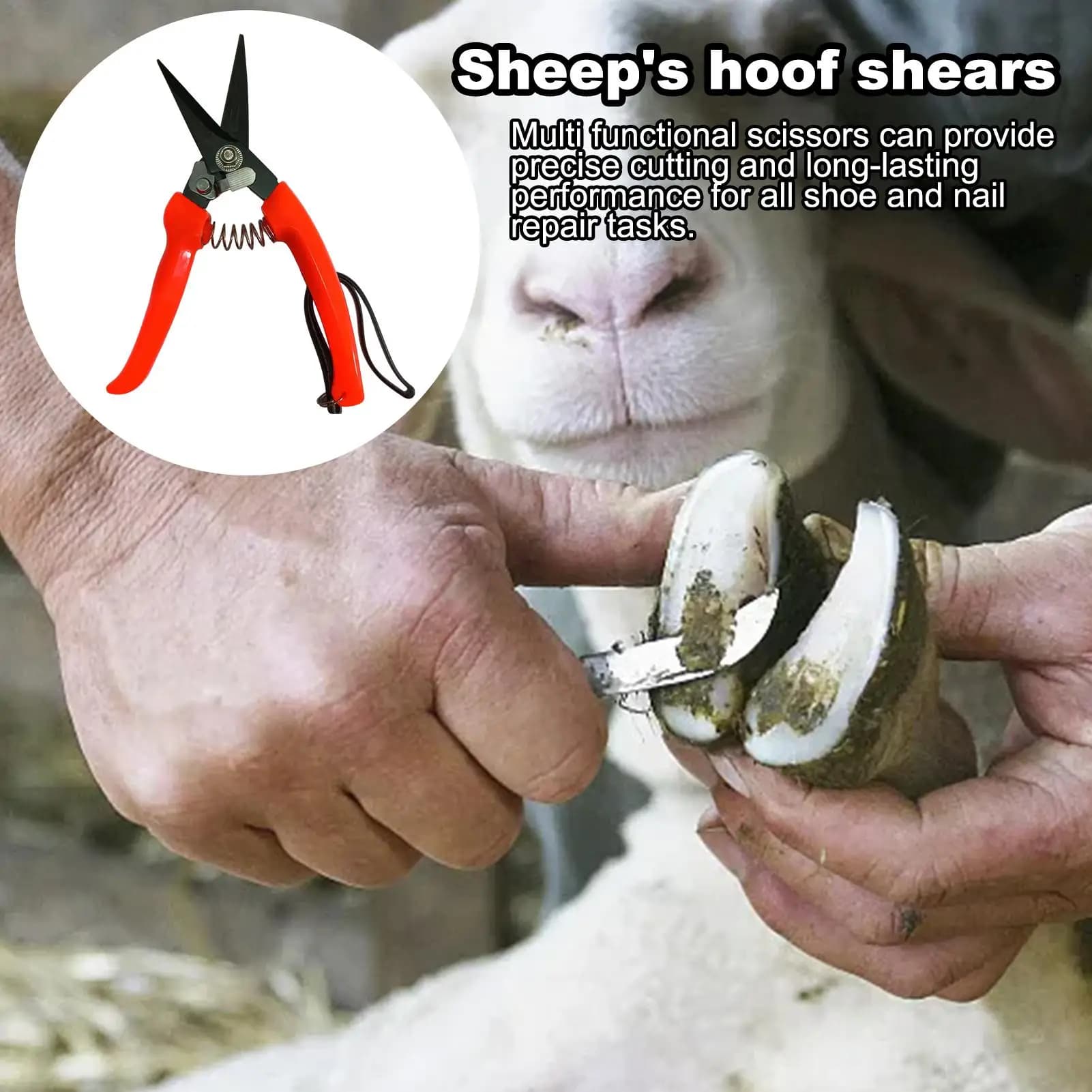 Sheep Hoof Trimmers Shrub Plant Floral Pruning Cut Shears Garden Sheep hoof scissors stainless steel keel scissors