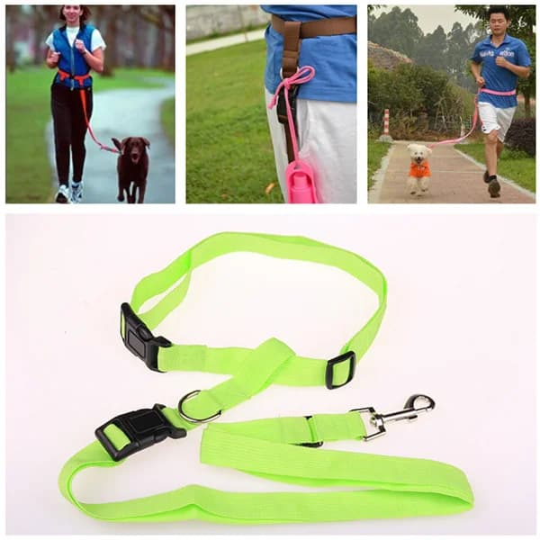 Comfortable, adjustable, hands-free dog drive for pets, for running, hiking, jogging, walking, dog walker in green life