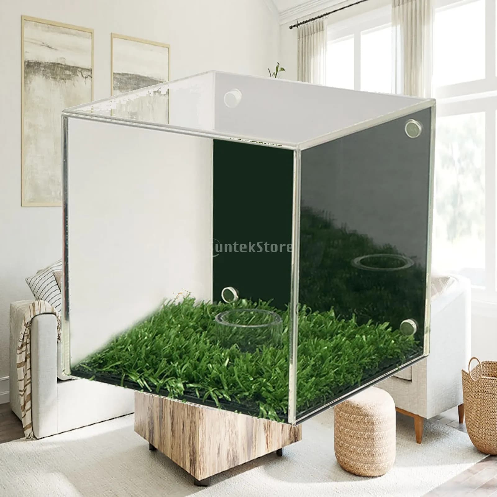Acrylic Golf Ball Display Case with Magnetic Backing Clear Dustproof Transparent Holder for Baseball Souvenir Collection
