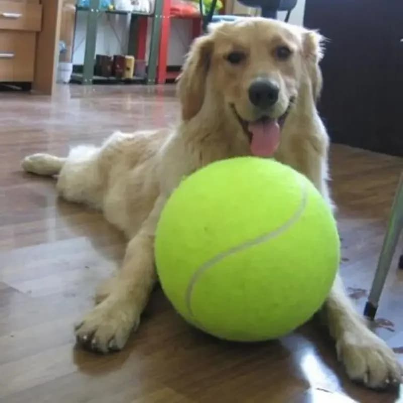 7/8/9.5 pollici palla da tennis per cani gigante giocattoli per animali domestici per cani giocattolo da masticare firma Mega Jumbo bambini palla formazione forniture Dropship peluche