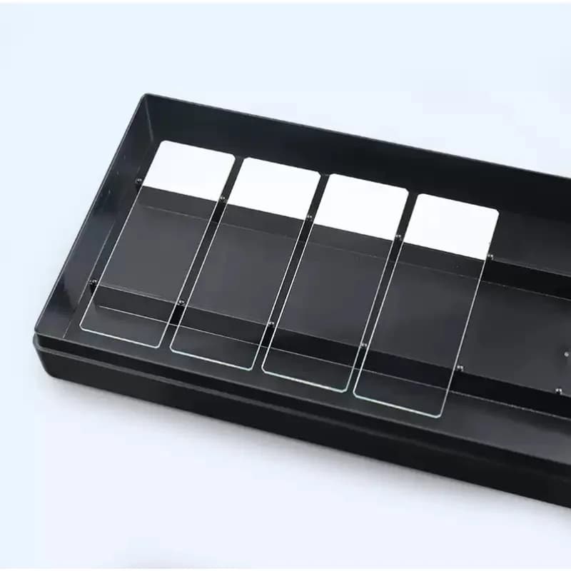 Scatola umidificatrice per vetrini trasparente/nera, incubatore per vetrini da microscopio a 10/20 posizioni per colorazione IHC