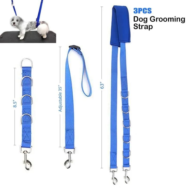 Set Guinzaglio e Collare per Cani, Accessori per Toelettatura, Bagno, Passeggio e Addestramento
