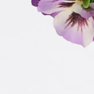 4PCS Vibrant Artificial Pansy Flowers Realistic Silk Fake Plants For Home Wedding Decor Centerpiece No Watering Needed