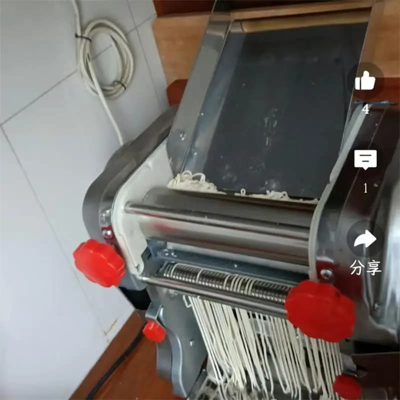 Macchina Elettrica per Pressare la Pasta in Acciaio Inox, Macchina Multifunzionale per Arrotolare la Pasta