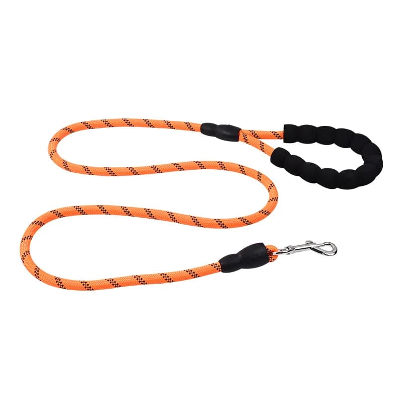 Cute Pet Dog Leash and Cat Walking Harness Set, Adjustable Puppy Chest Strap for Small Dogs, Teddy, Poodle, Bichon, Pomeranian
