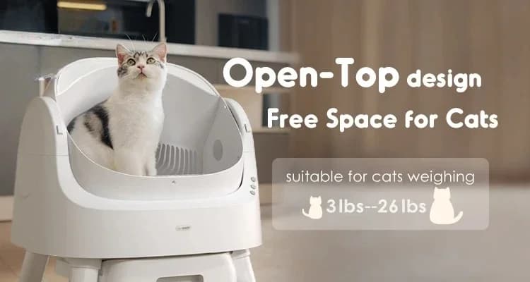 Toilette per gatti grande, lettiera automatica per gatti, lettiera per gatti autopulente intelligente