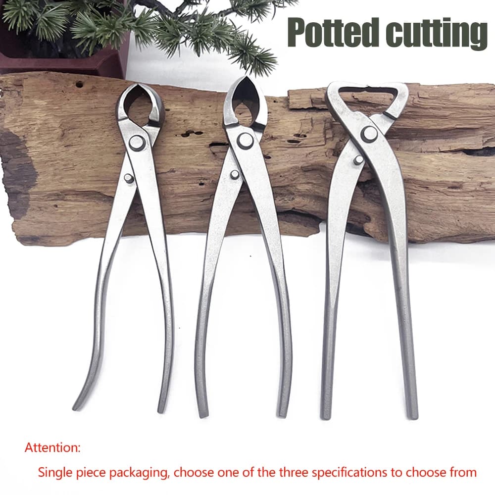 Three models of bonsai scissors are available, including scissors for thick branches in stainless steel, sharp orthic scissors, bonsai scissors.