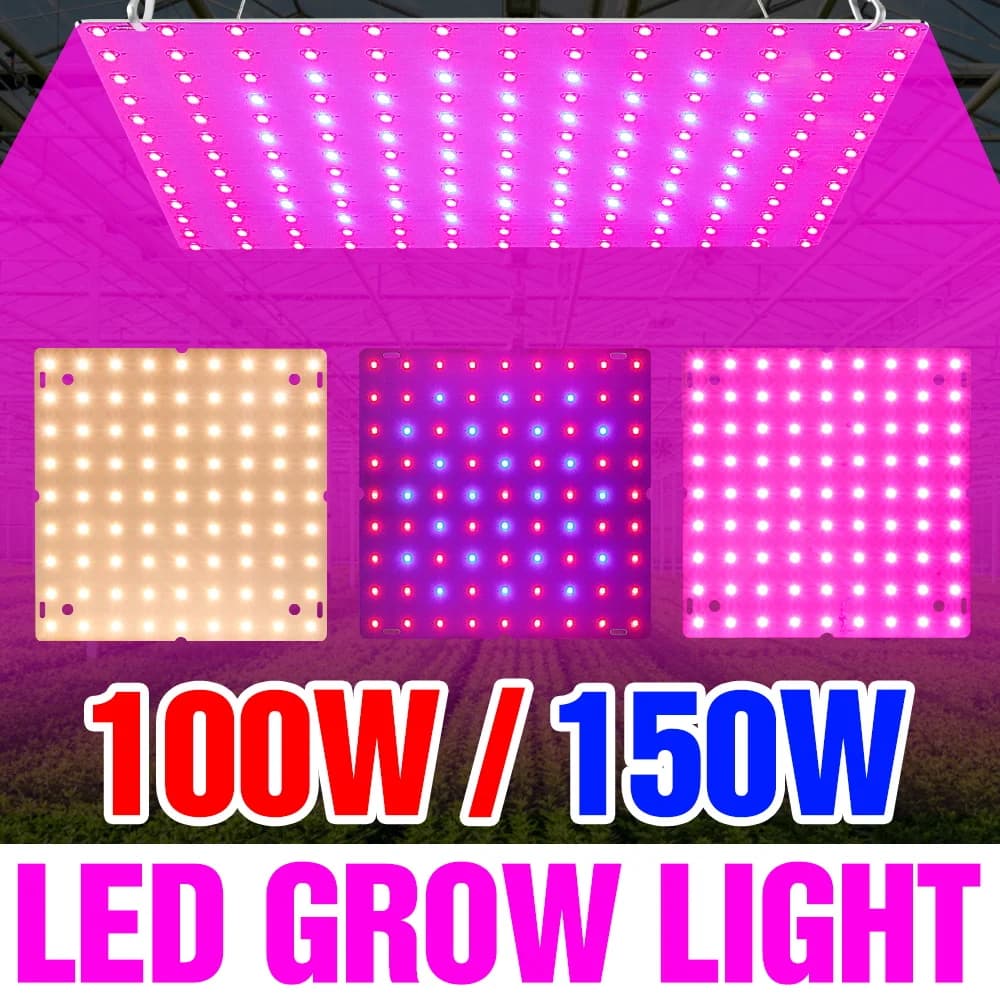 150W Spettro Completo Pianta Luce LED Quantum Board Semi Coltiva La Lampada Serra Tenda Verdure Interni Fiori Coltivazione illuminazione