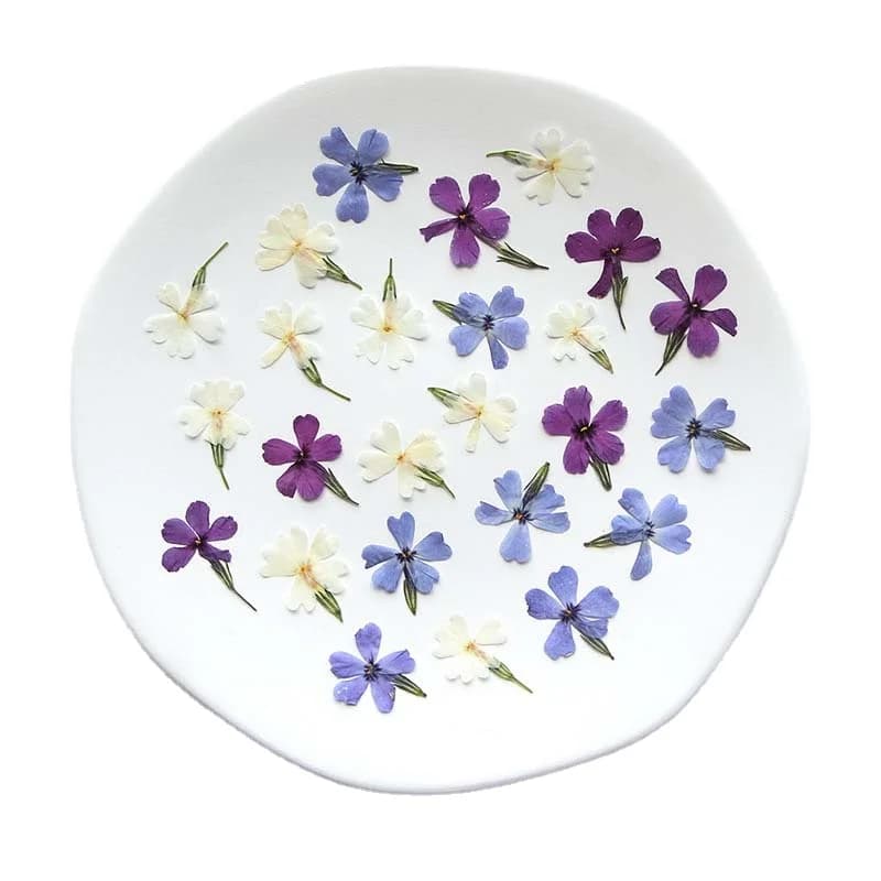 2-3CM/real branch of natural dried pressed flowers leaves, small flower of Subulata Phlox dry for epoxy resin, frame