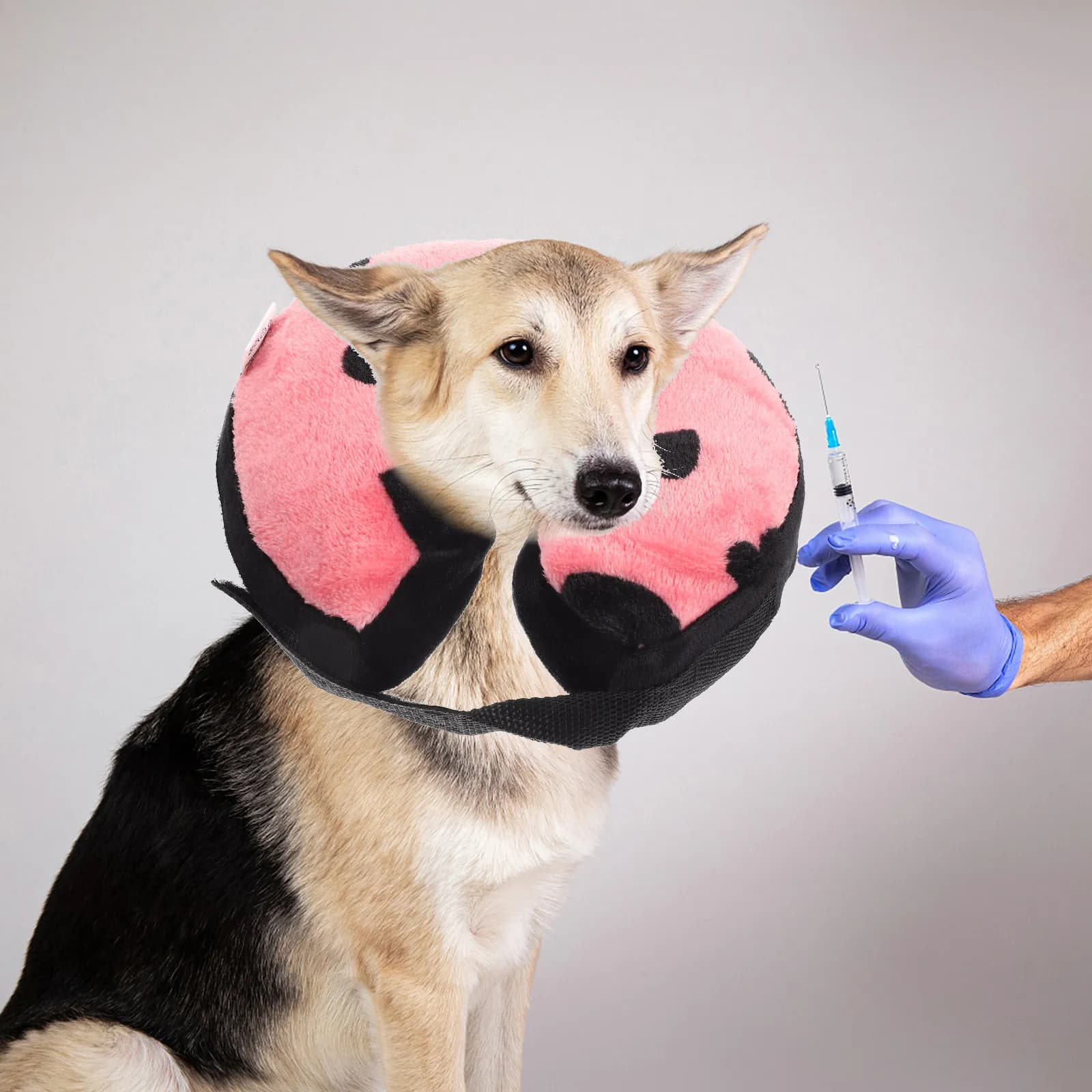 Collare Protettivo Gonfiabile per Animali Domestici, Materiale Premium, Regolabile, per Cani e Gatti, Comodo e Traspirante, per Recupero Chirurgico