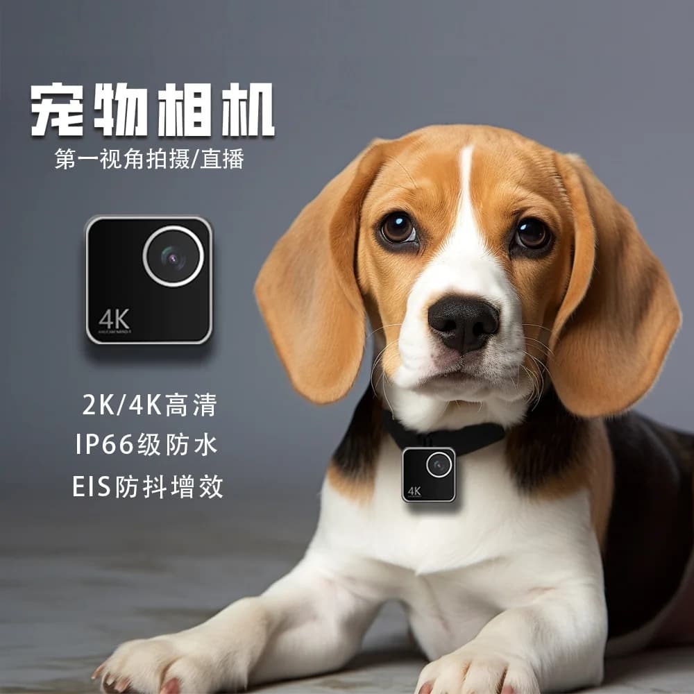 Animal cat dog pet camera first view smart collar neck camera