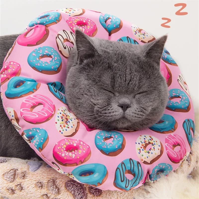 Moda Elizabeth Anello Morso di gatto Copricapo morbido a prova di leccare Gatto Pet Recupero Manica Sterilizzazione Shame Collare morbido Forniture per cani