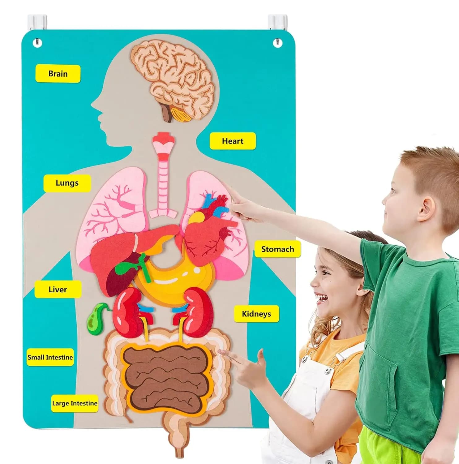 Parti del corpo umano Storie in feltro per bambini Giocattoli Montessori Attività sensoriali Insegnamento Asilo nido Apprendimento prescolare Educativo