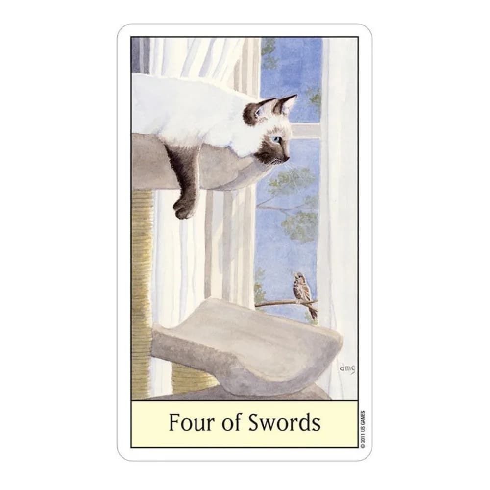 Giochi di carte Tarocchi Cats Eye 12x7 cm