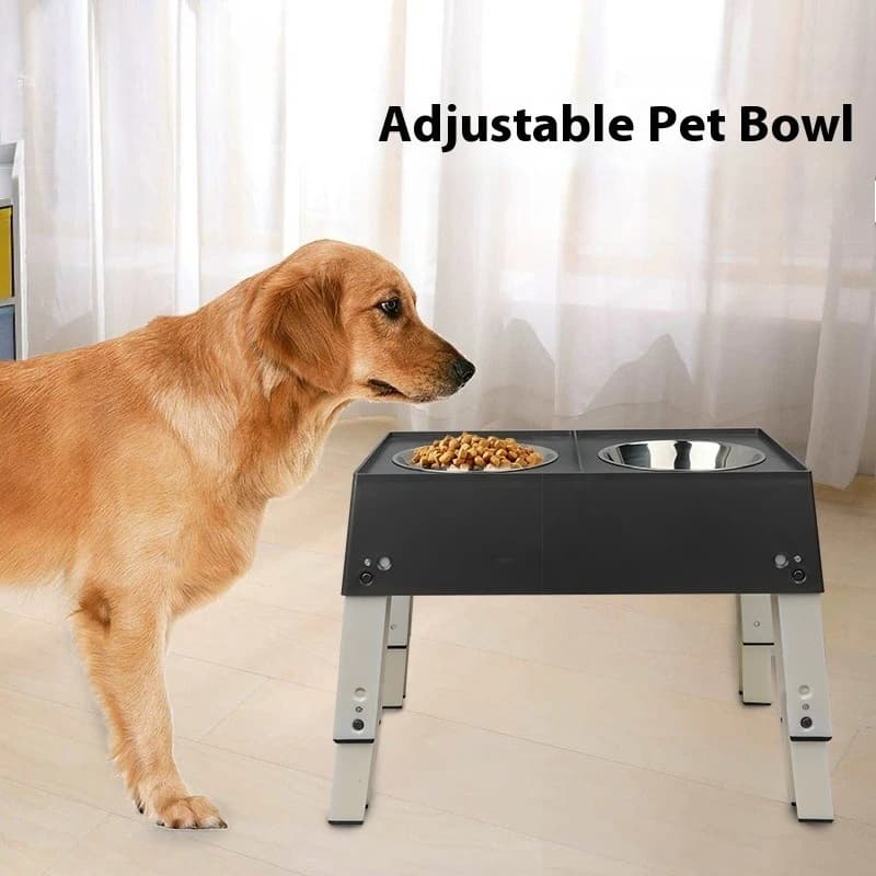 Ciotola per cani regolabile in acciaio inossidabile Doppia mangiatoia per animali domestici Supporto per il collo Anti punta Piatto per alimenti elevato Altezza Ciotole personalizzabili Casa