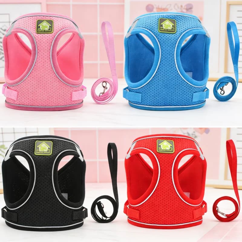 Pettorina Riflettente per Cani, Gilet Traspirante in Rete, Cinturino Pettorale alla Moda per Cuccioli, Pettorina Regolabile per Gatti, Accessori per Cani Chihuahua