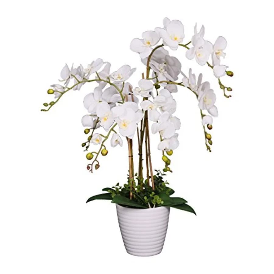 691322320985 Orchidea Phalaenopsis Artificiale Unica e Splendida, Pianta di Fiori di Seta con Foglie a Effetto Reale, con Nu