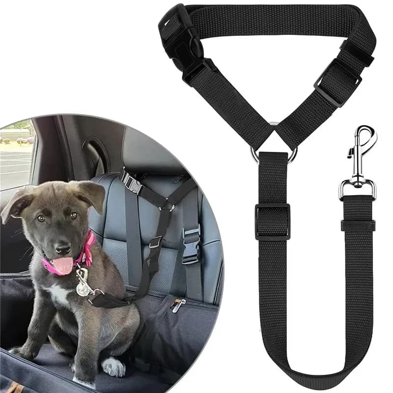 Cintura di Sicurezza 2-in-1 per Animali Domestici, Regolabile in Nylon, per Sedile Posteriore, Collare e Imbracatura per Cani e Gatti, Accessorio da Viaggio
