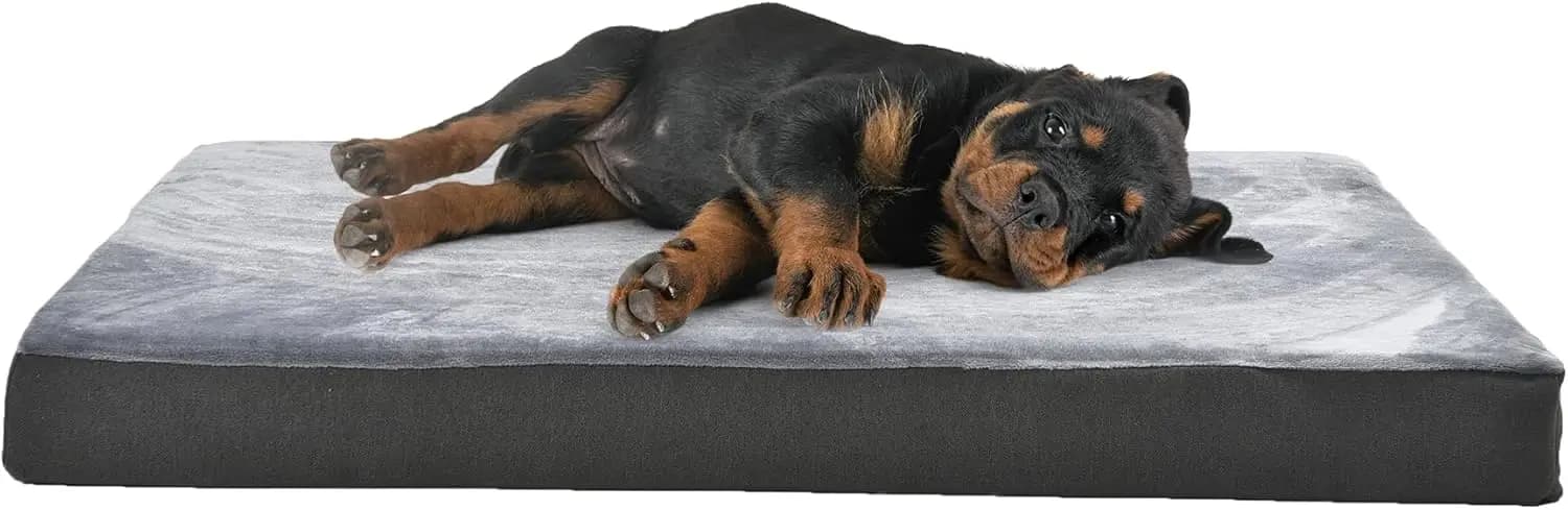 Cuccia per Cani in Memory Foam con Gel Rinfrescante per Animali fino a 22 kg, Fondo Antiscivolo, Rivestimento Rimovibile, Grande, Grigio