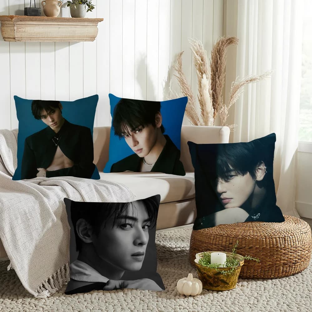 Singer Cha Eun-woo Pillow Federation Home Decoration Pillow Sheet Suitable for Office, Sofa, Bedroom, Car
