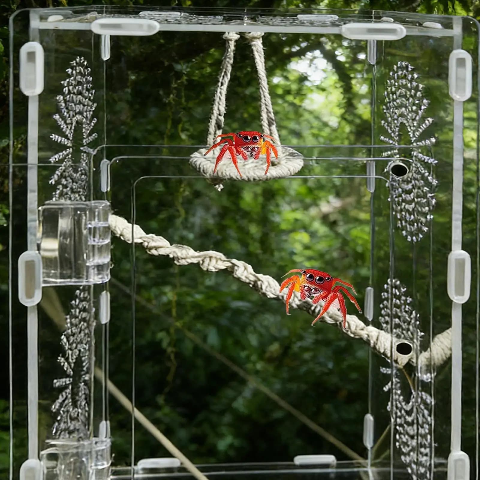 Jumping spider bridge 2 pieces Natural cotton corda Swinging spider accessories for camping trips Daily air
