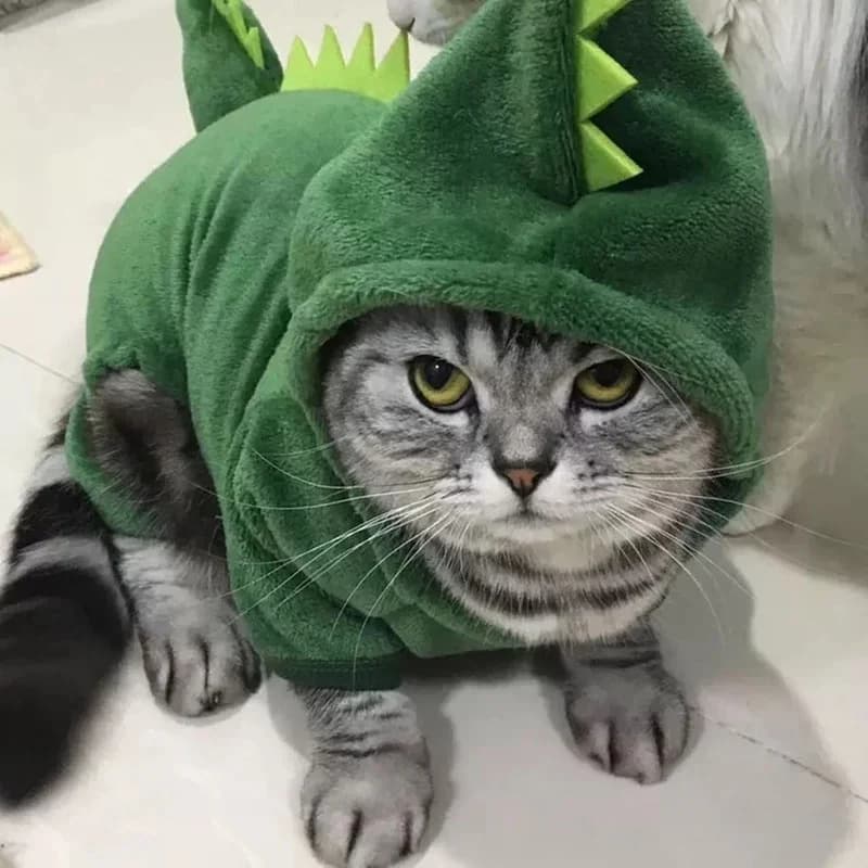 Abbigliamento per Cani a Tema Dinosauro, Tuta in Pile, Cappotto Invernale Caldo per Cani, Giacca con Cappuccio per Chihuahua e Bulldog Francese