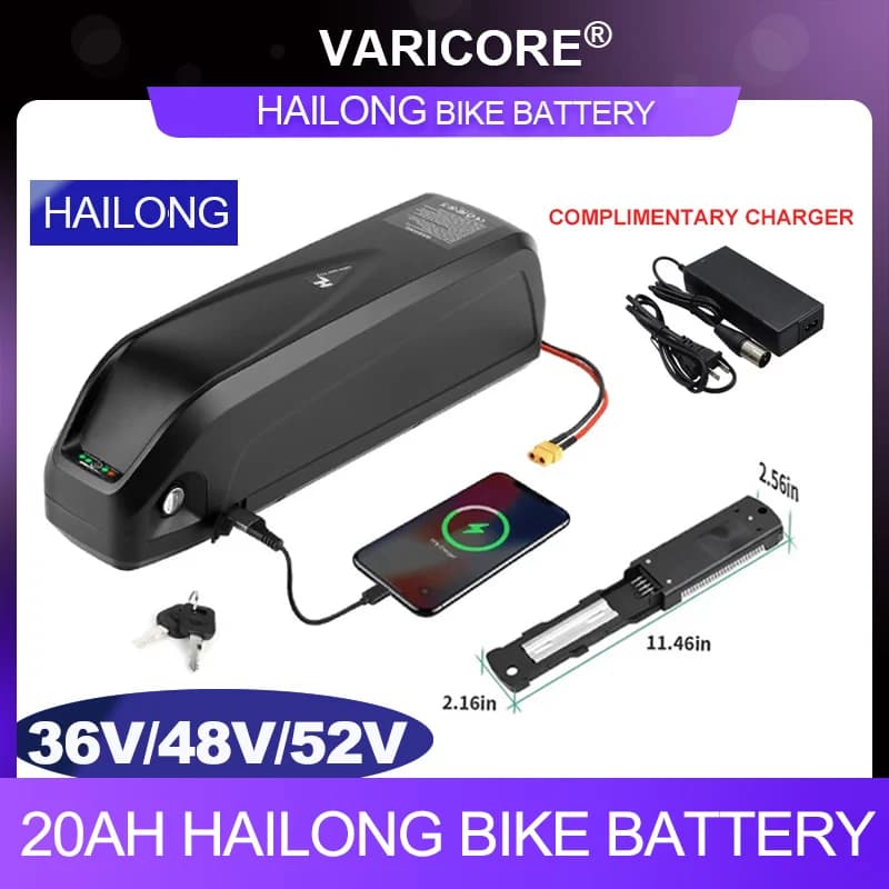 Batteria ricaricabile agli ioni di litio Hailong 48V 52V 36V 20AH 30A BMS 54.6v 350W 500W 750W 1000W 18650 Caricatore 2A duty free
